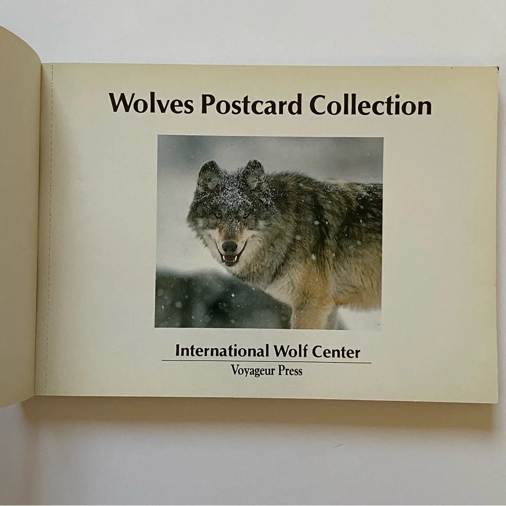 Wolves Postcard Collection Vintage 1990 International Wild Center Set Of  Pics